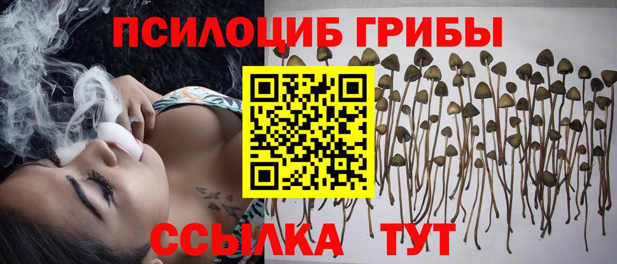 Псилоцибиновые грибы GOLDEN TEACHER Миллерово